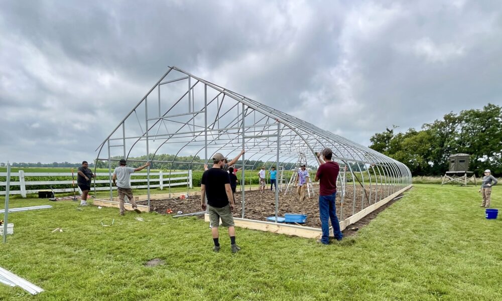 Community Collaboration Yields Success with High Tunnel Build & Learn